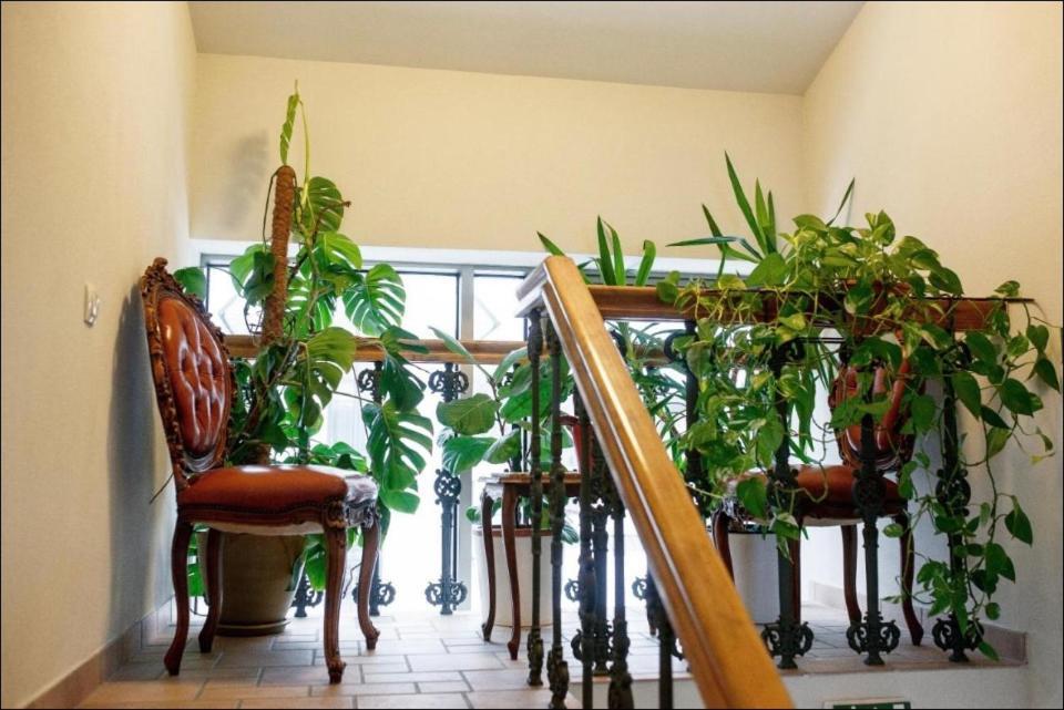 Apartment Senamiescio Inkaras 克莱佩达 外观 照片
